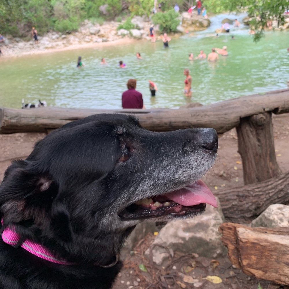 Meet your Posher, Ann